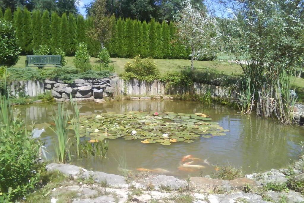 Maison/Gite Familial Dans Le Jura A 200M Du Lac Avec Piscine Privee Marigny  Exteriör bild