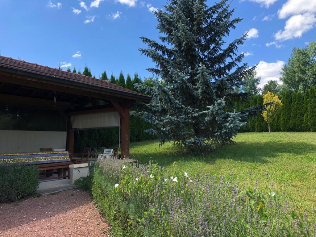 Maison/Gite Familial Dans Le Jura A 200M Du Lac Avec Piscine Privee Marigny  Exteriör bild